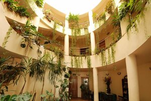 Гостиница Hotel Gallant