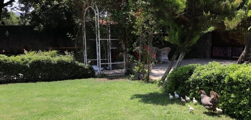 Фото Villa Bln1 by JoyLettings