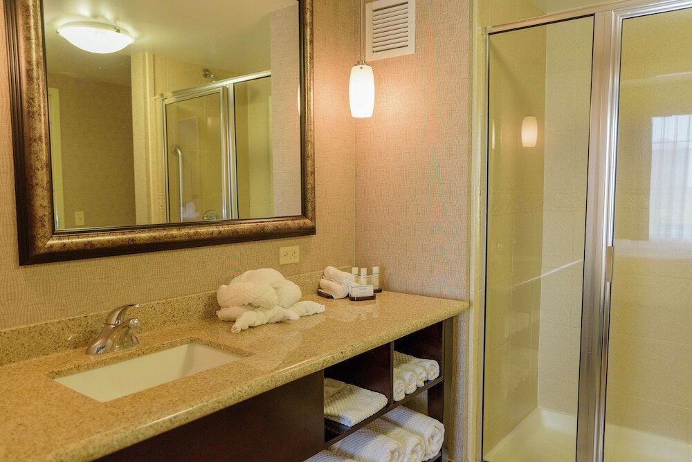 Фото Embassy Suites by Hilton Minneapolis North