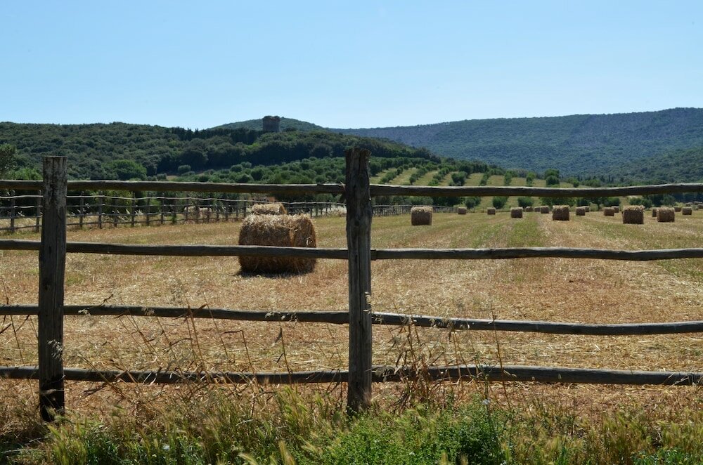 Фото Tenuta Uccellina