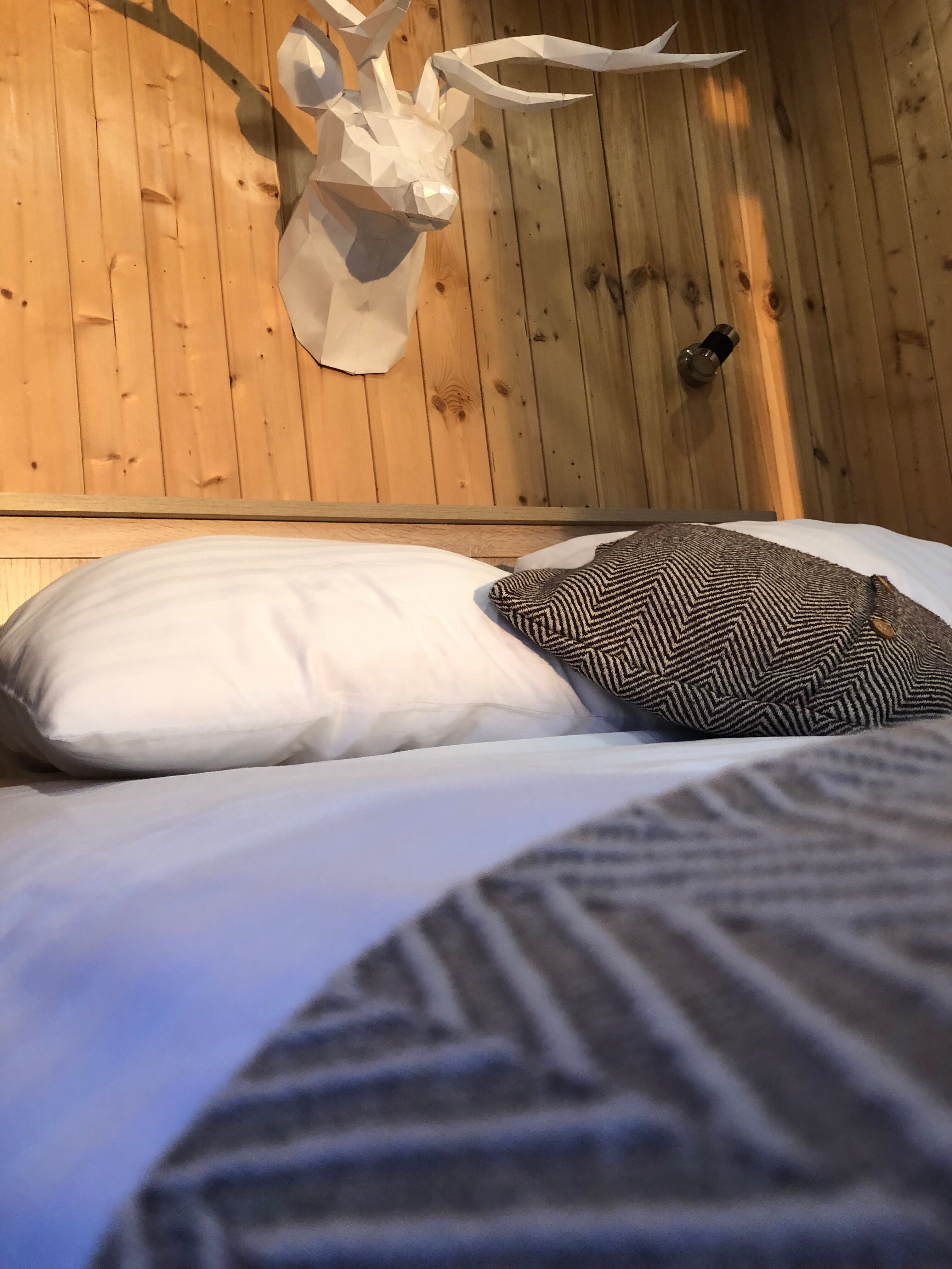 Фото Viva la villa