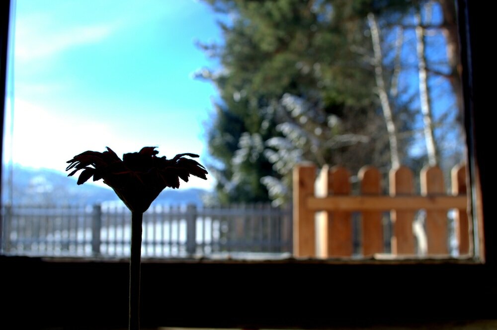 Фото Haus Susanne