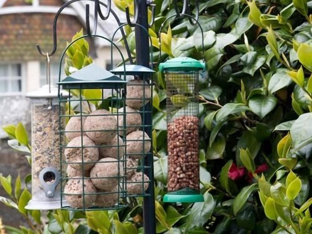 Фото Lyonesse Guest House