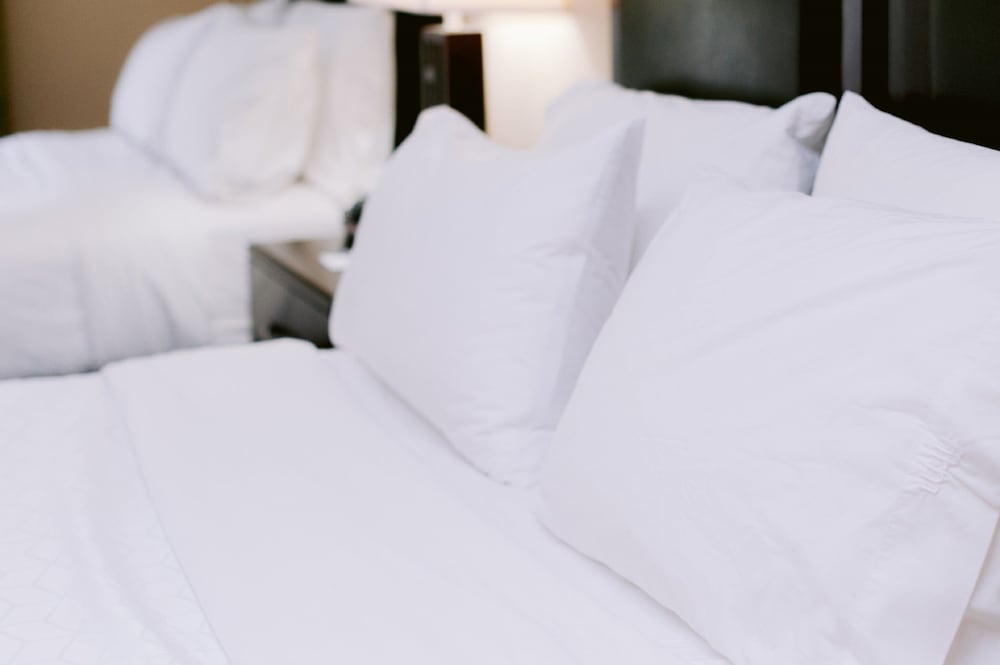 Фото Holiday Inn Express Hotel & Suites Raleigh Sw Nc State, an Ihg Hotel