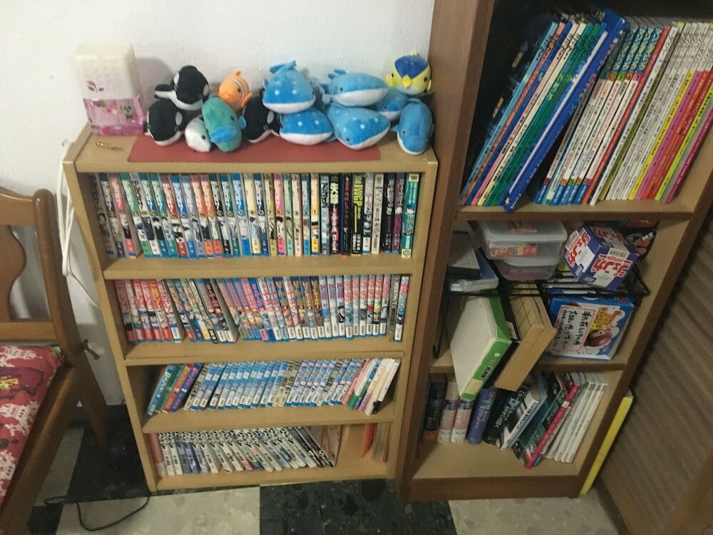 Фото Pension New Hamanoso