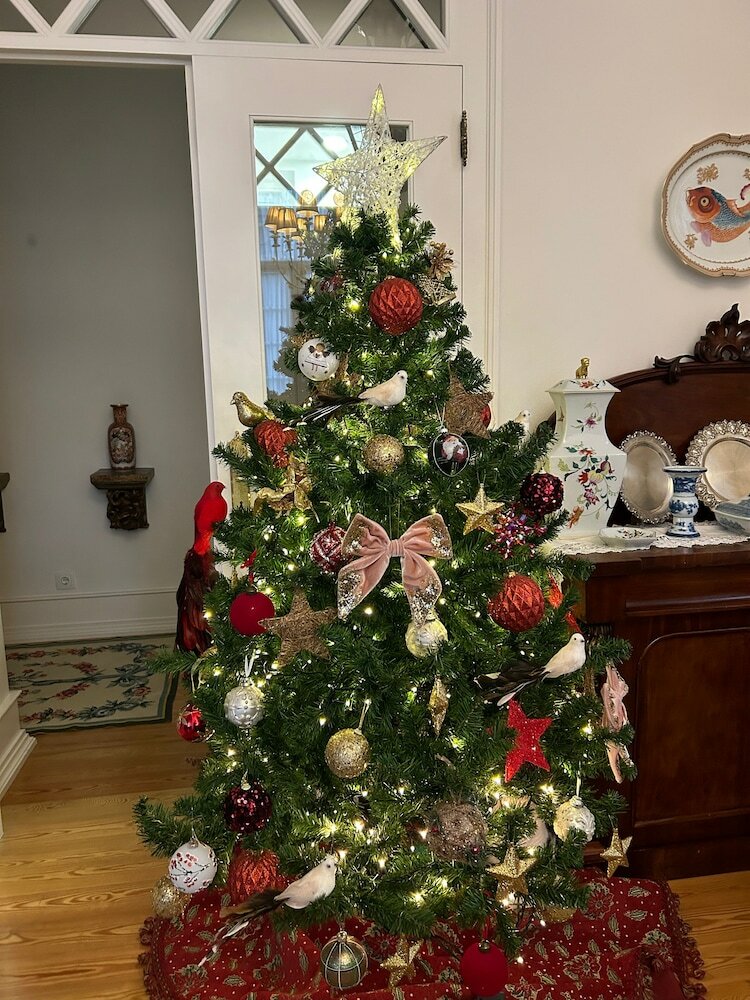 Фото Villa Estefânia