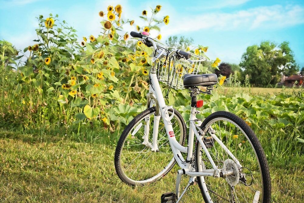 Фото Agriturismo Case Graziani