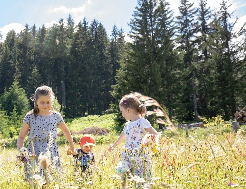 Фото Alpenlodge Alexander