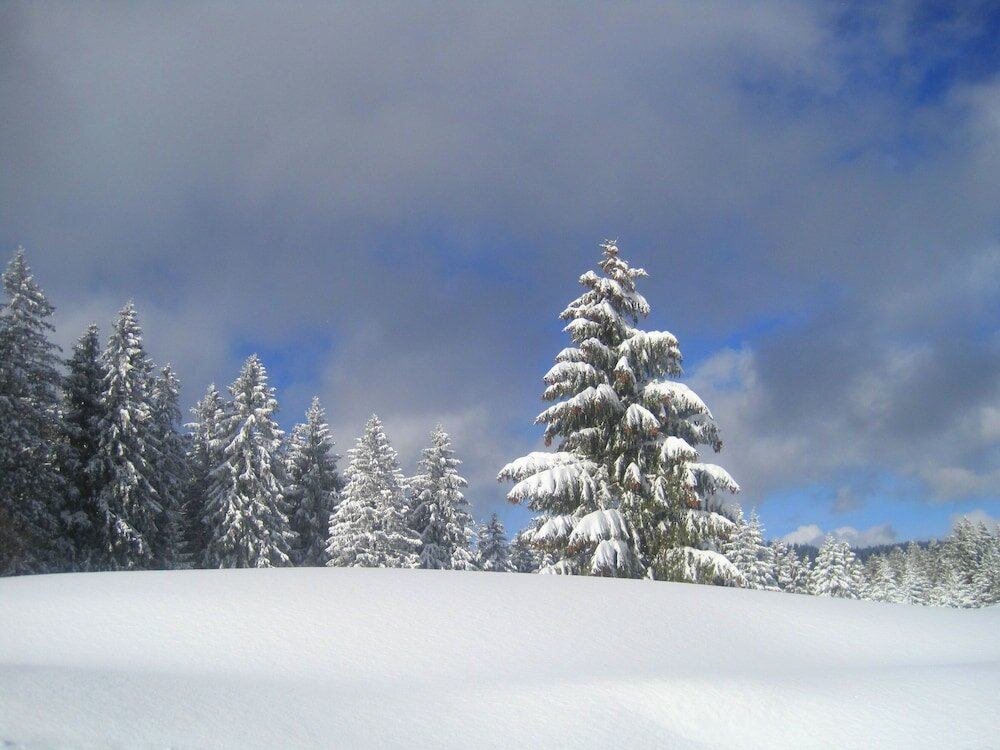 Фото Hotel & Chalets Herrihof