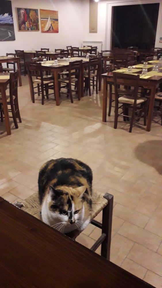 Фото Agriturismo La Vita è Bella