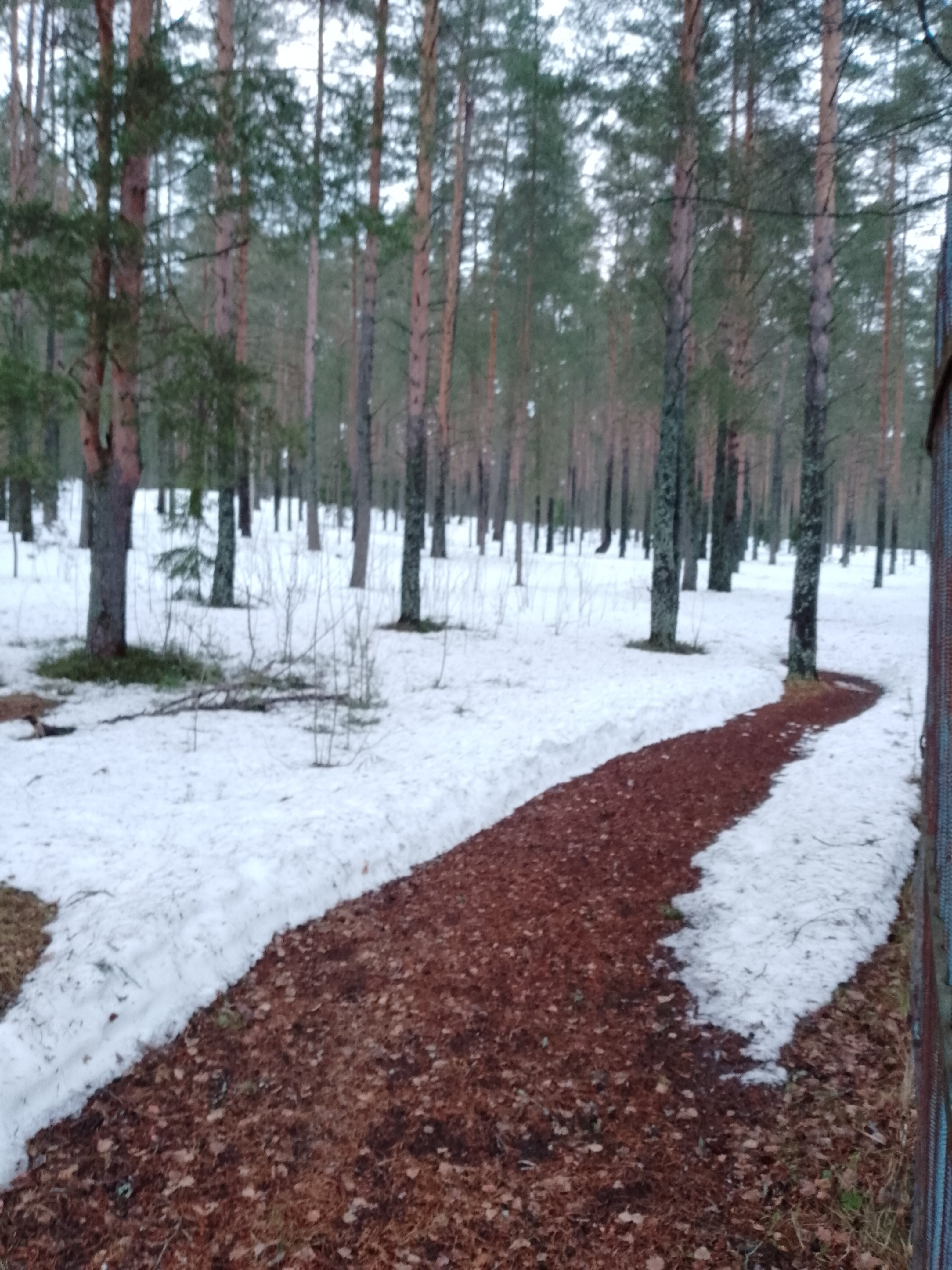 Фото Каменная гора