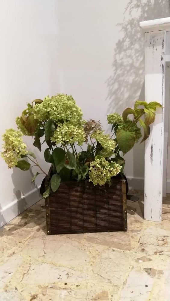 Фото Good Morning Shopping