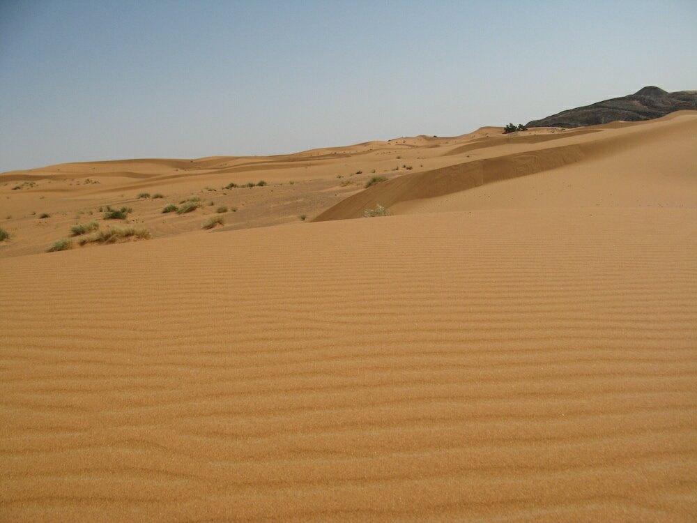 Фото Riad Caravasar