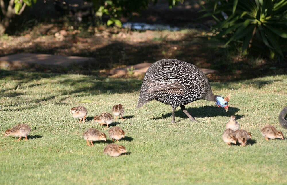 Фото Deo Gratia Guest House