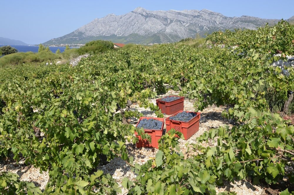 Фото Country Home Dingač