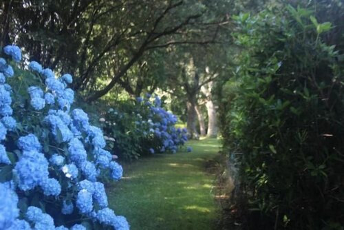 Гостиница Propriété de la Mer d'Iroise в Кемпере