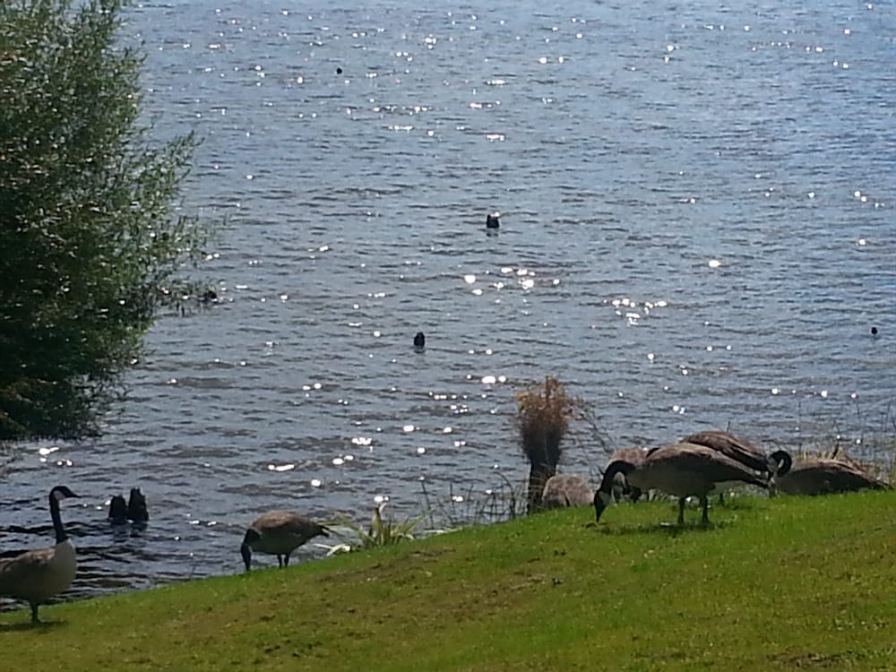 Фото Koutu Beach Bed and Breakfast