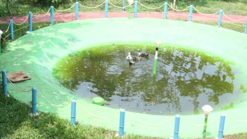 Гостиница True Blue Beach Resort, Trivandrum в Варкале