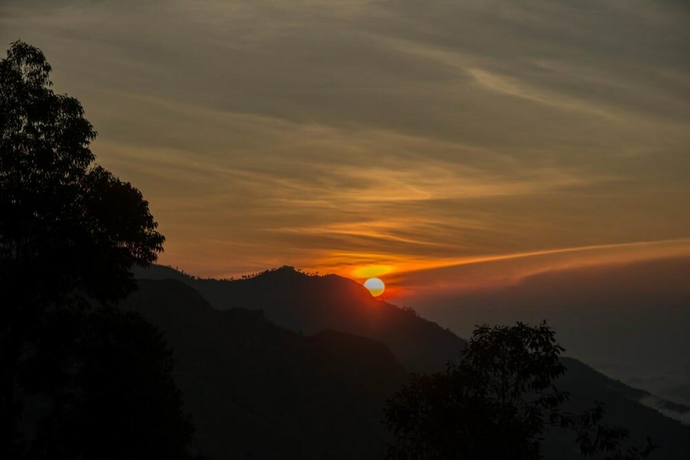 Фото The Onestar Homestay