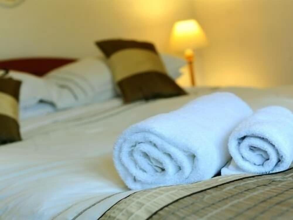 Фото The Driftwood Spars