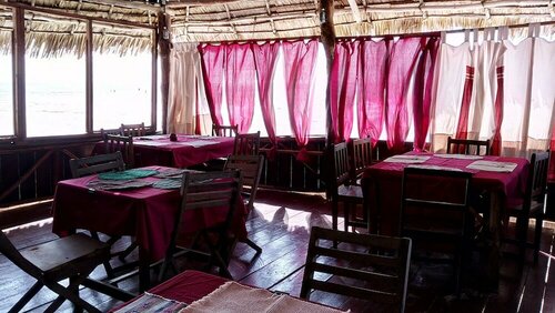 Гостиница Twisted Palms Lodge & Restaurant