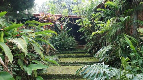 Гостиница Hotel El Portico в Провинции Эредия