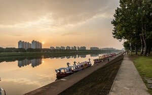 Гостиница Ariana Hotel