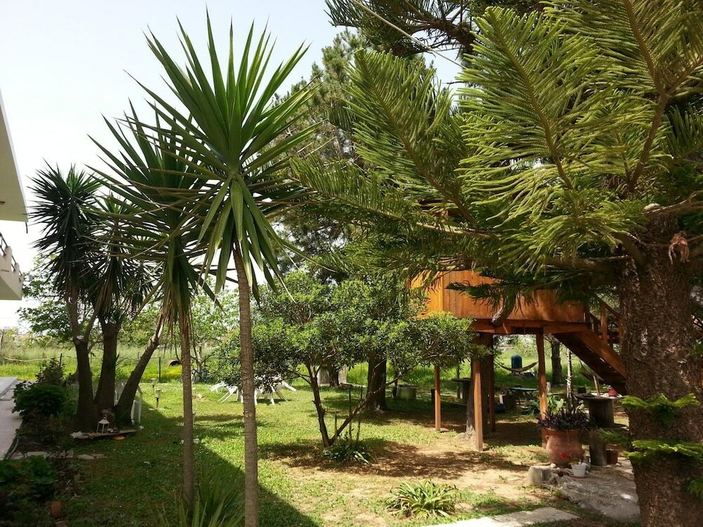 Фото Gongis Studios