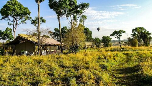 Гостиница Serengeti Savannah Camps