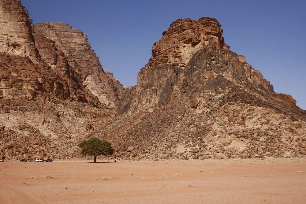 Фото Rashed Awwad Camp With Tour