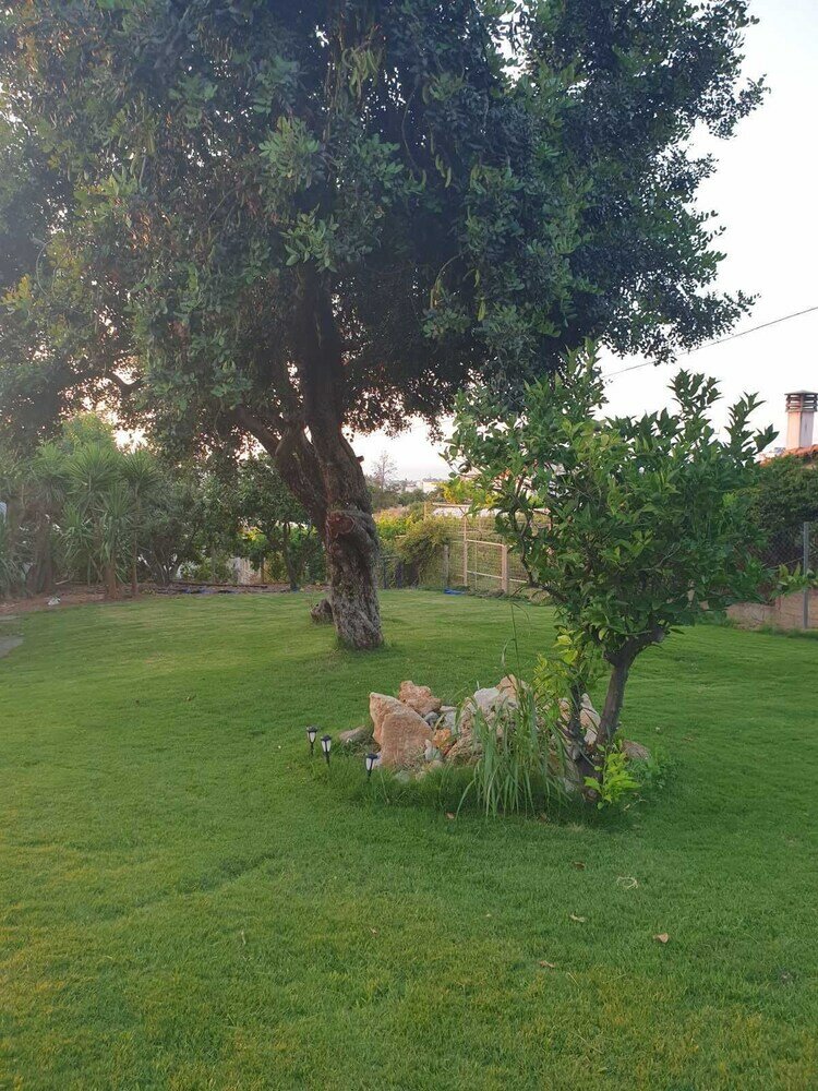 Фото Silia Suites