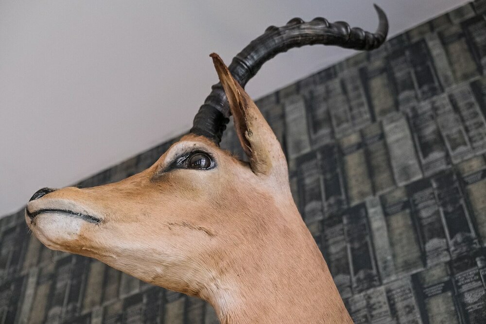 Фото B&b 't Poorthuys