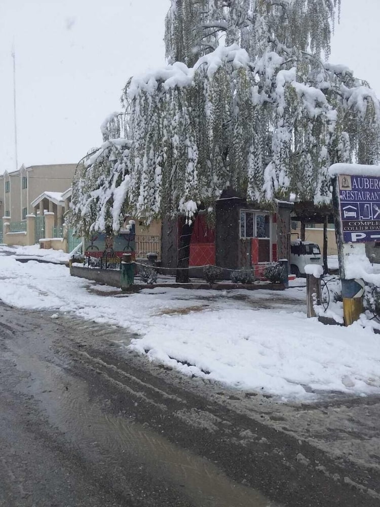 Фото Complexe Collier D'Ambre