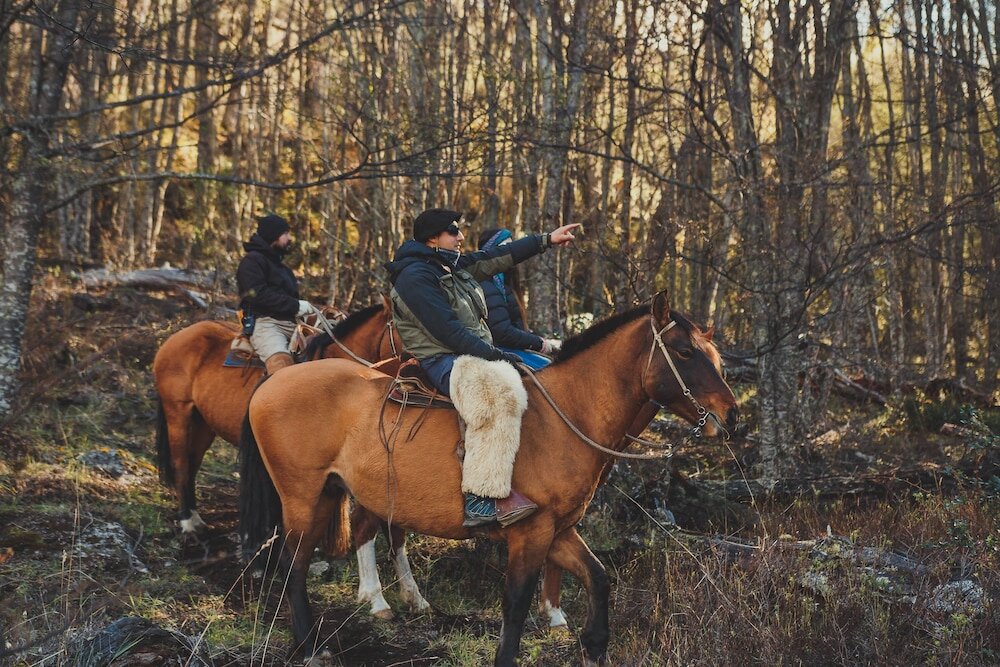 Фото Parador Austral Lodge