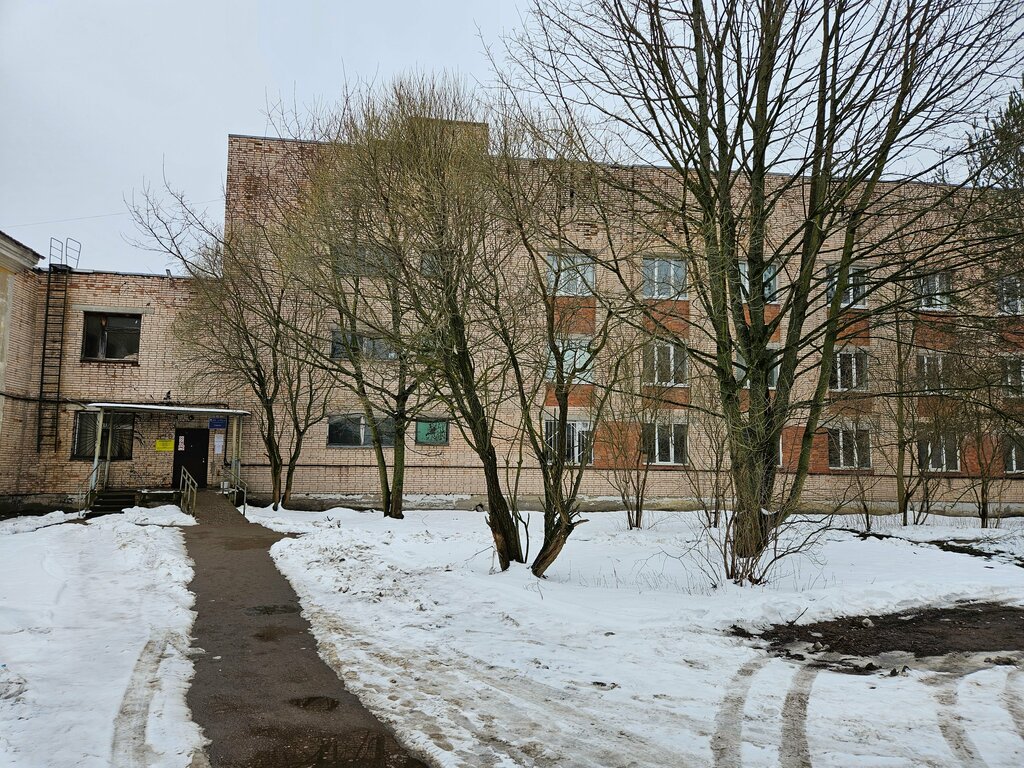 Hospital para adultos Kirov Clinical Interdistrict hospital, hospital, , foto