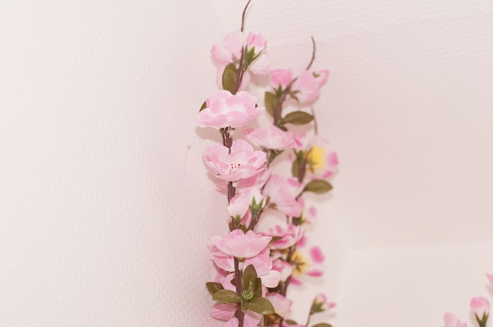 Фото Edith & Julia Bed and Breakfast