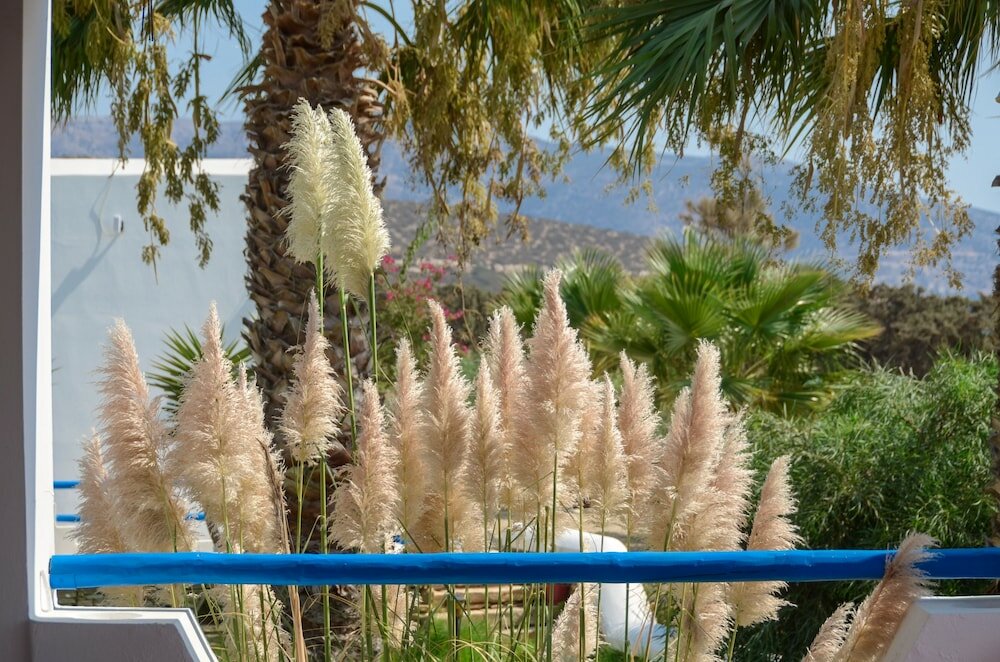 Фото Skarmoutsos Studios