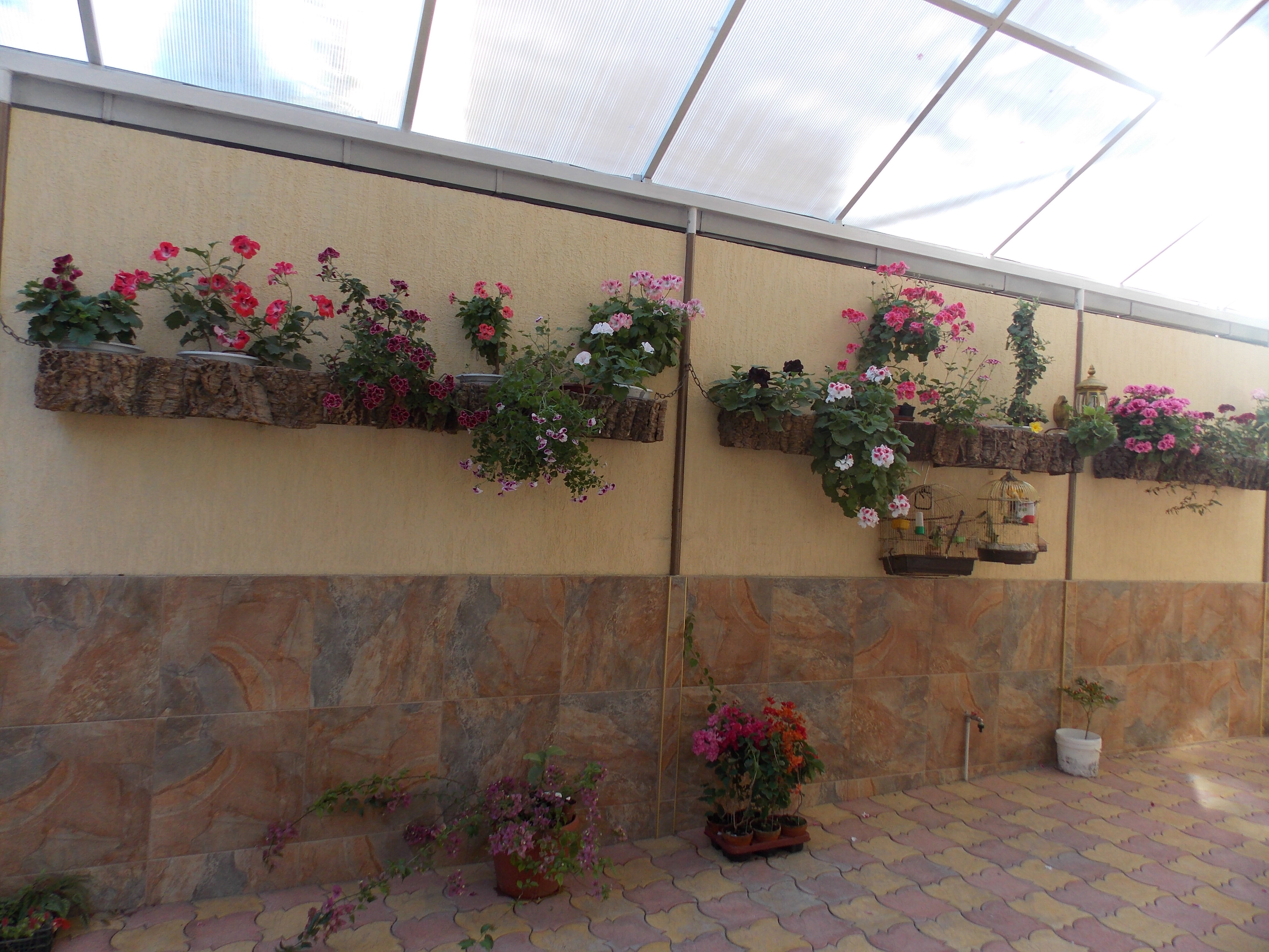 Фото Анжелика