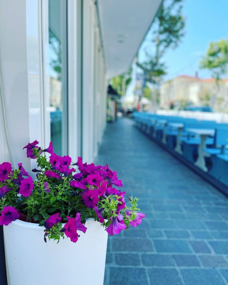 Фото Hotel Blue Moon