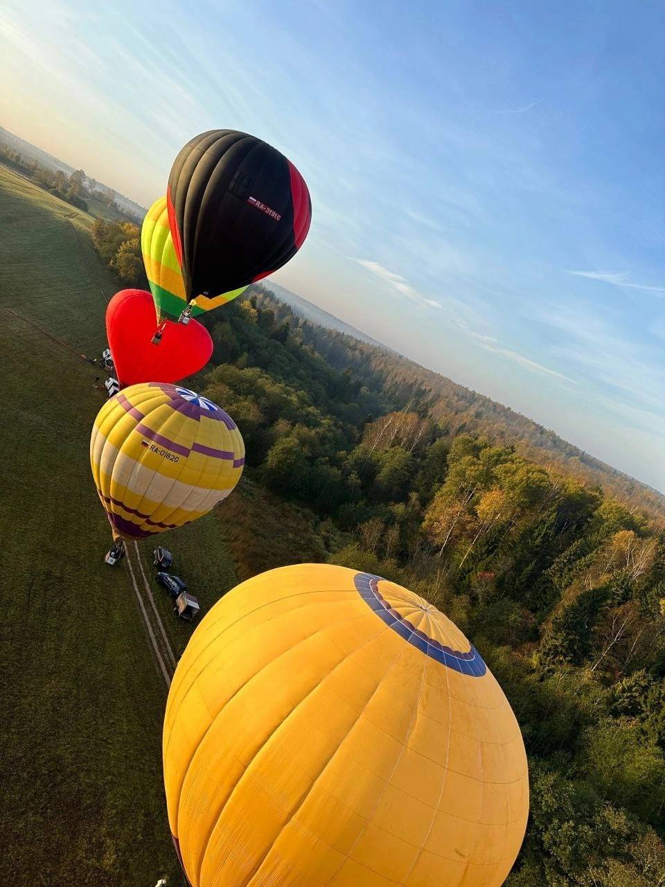Фото Сканди Лайф