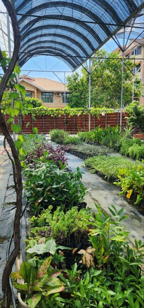 Фото Grapevine Garden