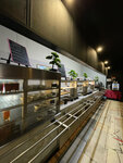 Alove (Ryazansky Avenue, 16с4), canteen
