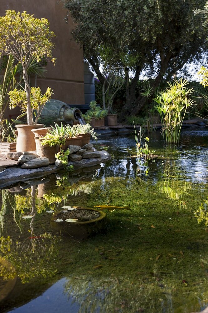 Фото Villa Serena Marrakech