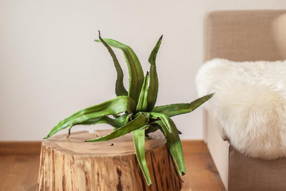 Фото Wohnen im Herzen der Altstadt