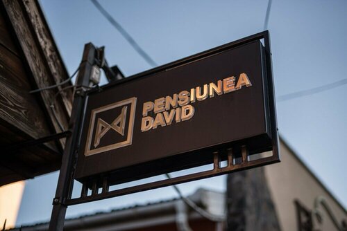 Гостиница Pensiunea David