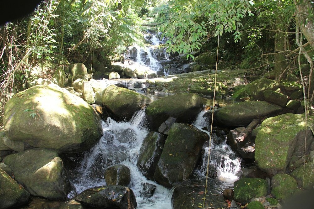 Фото Junglez Eco Hostel