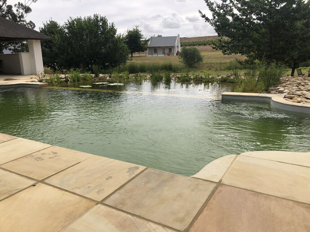 Фото Rijks Wine Estate and Hotel - Adults Only