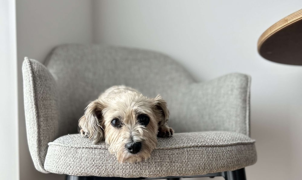 Фото Best Western Plus Ten Hotel