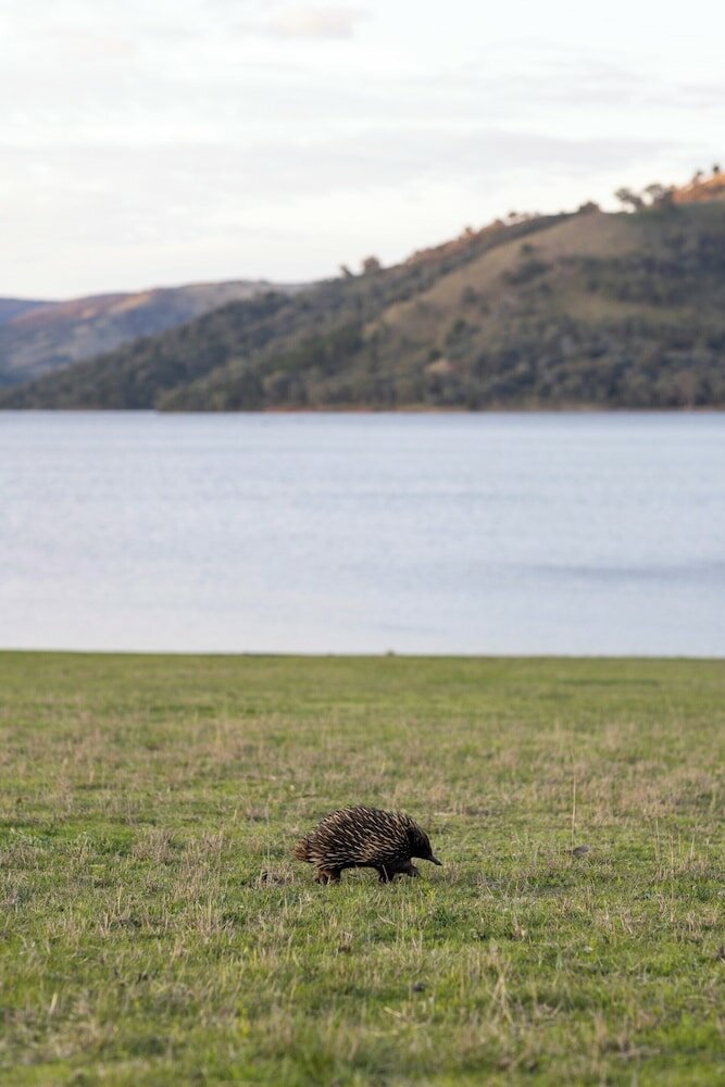 Фото Reflections Holiday Parks Grabine