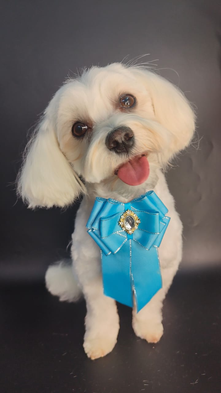 Фото Добрый хозяин